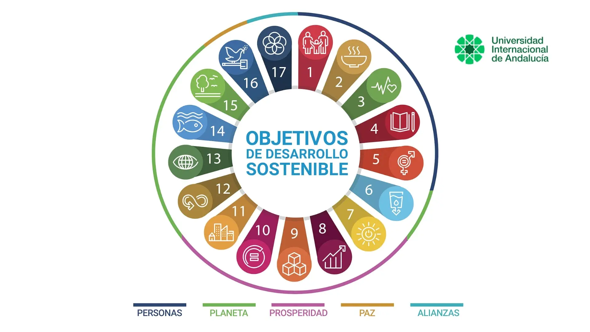 17_objetivos_de_desarrollo_sostenible.webp