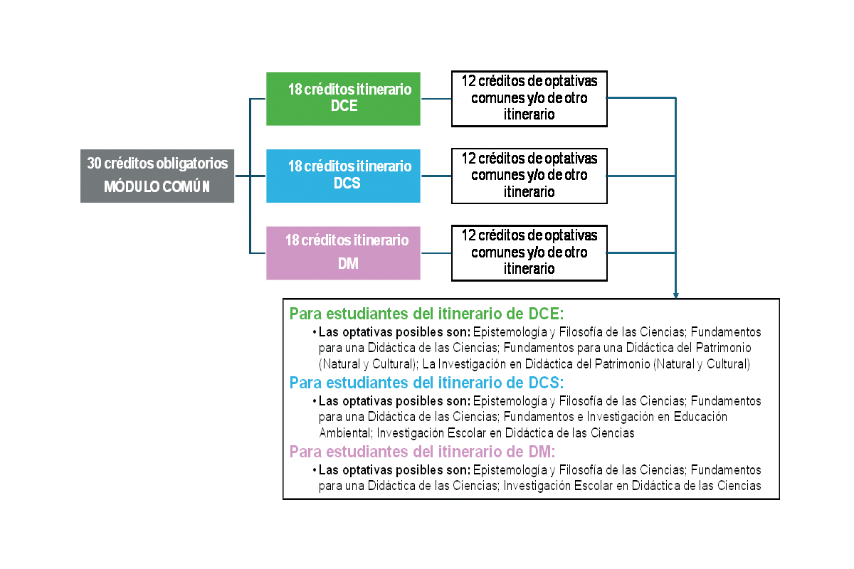 Estructura_Plan_de_Estudios.jpeg