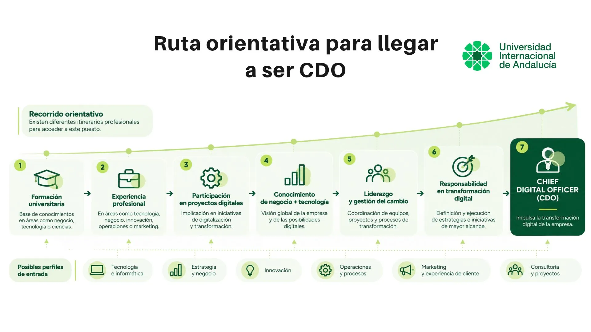 Ejemplo de recorrido profesional y formativo para acceder a puestos de Chief Digital Officer