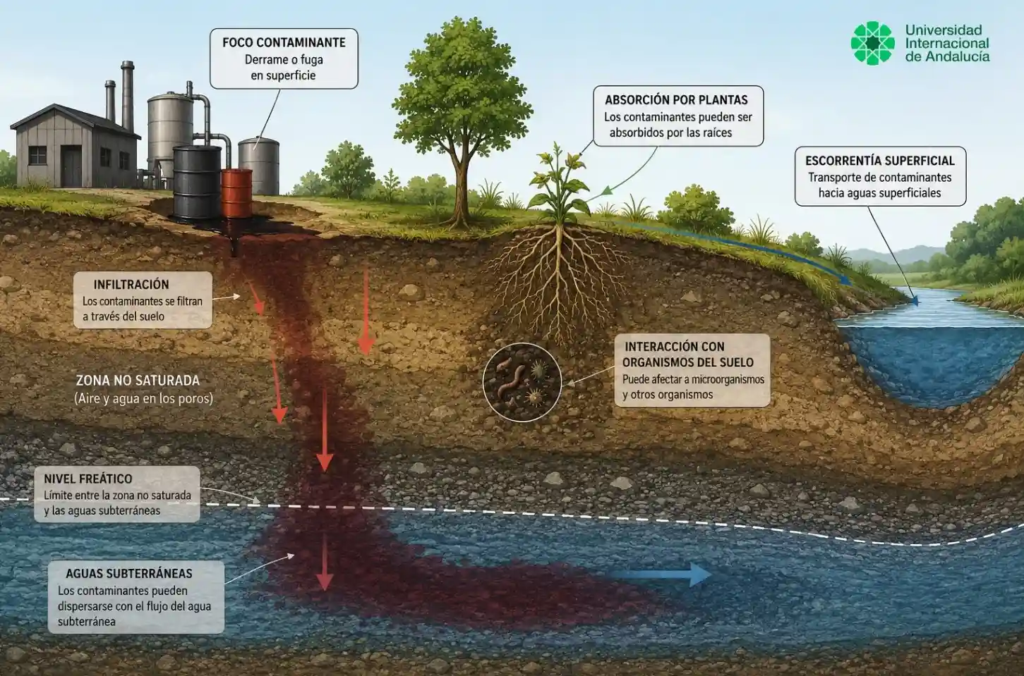 Propagación de contaminantes desde el suelo mediante infiltración y escorrentía hacia las aguas subterráneas, aguas superficiales, raíces y ecosistemas
